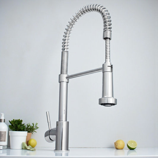 ZLINE Apollo Kitchen Faucet