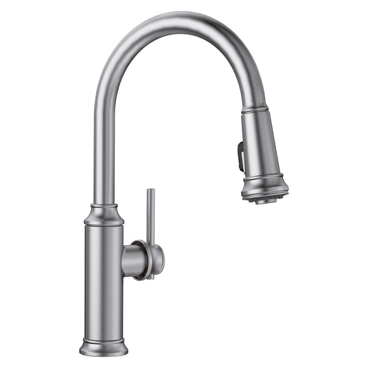 BLANCO Empressa High Arc Pull-Down Dual-Spray Kitchen Faucet in elegant metallic finish.