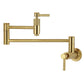 Kingston Brass KS8103KNL Convergent Wall Mount Pot Filler Faucet with Knurled Handle, Antique Brass in brushed brass finish.