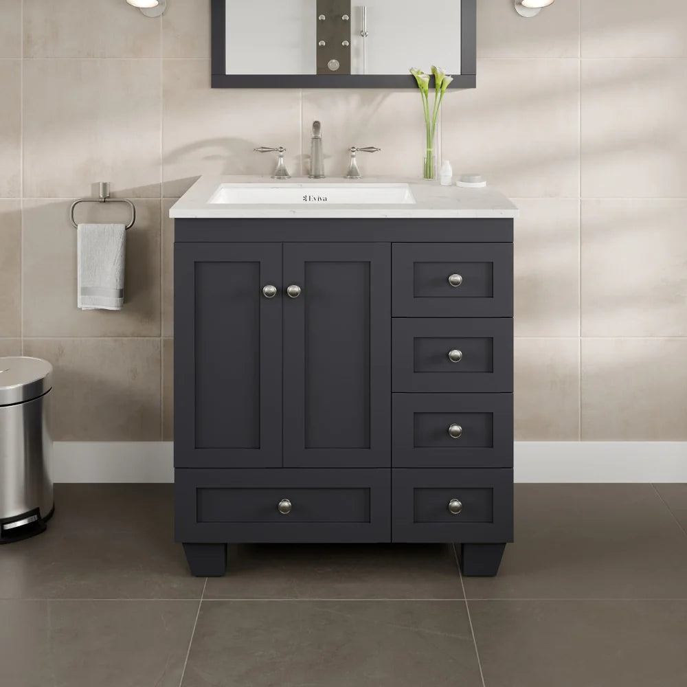 Main product image for Eviva Acclaim 30" single sink bathroom vanity in dark gray