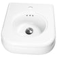 Nantucket NS-VCDMCD165-WW Victorian fireclay bathroom sink, view 2