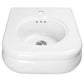 Nantucket NS-VCDMCD165-WW Victorian fireclay bathroom sink, view 3
