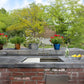 Nantucket AW-PS-3219-16 outdoor sink, view 9