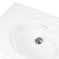 Nantucket NS-VCDMCD315-WW Victorian fireclay bathroom sink, view 4