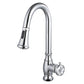 Kingston Brass LS8693RX Belknap Pull-Down Kitchen Faucet