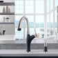 BLANCO Artona Pull-Down Dual-Spray Kitchen Faucet in a modern kitchen setting with elegant design.