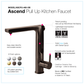 HOUZER ASCEND Matte Black Integrated Single Handle Pull-Up Kitchen Faucet - ASCPU-460-MB