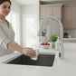 BOCCHI BELSENA 2.0 Pull-Down Kitchen Faucet