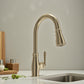 BOCCHI BELSENA 2.0 Pull-Down Kitchen Faucet