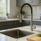 FORTIS Culinary Single Handle Pull-Down Kitchen Faucet in Brushed Nickel