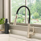 Ruvati RVF1242 Carina Single-Handle Flexible Hose Kitchen Faucet in Stainless and Black