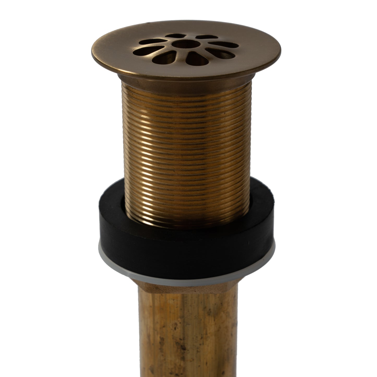 Thompson Traders antique satin gold 1.5" flower-style grid drain TDG15-ASG, view 2