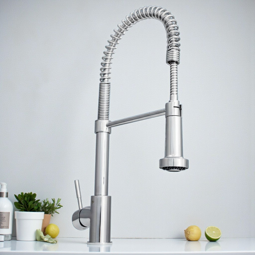ZLINE Apollo Kitchen Faucet