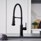 BLANCO Empressa Semi-Pro Pull-Down Dual-Spray Kitchen Faucet
