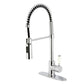 Gourmetier LS8778DPL Paris Single-Handle Deck-Mount Pre-Rinse Kitchen Faucet, Brushed Nickel