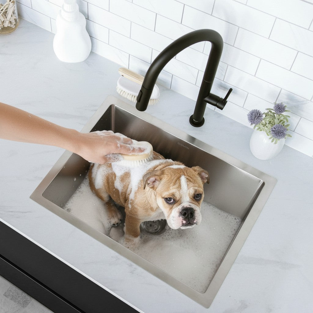 Stylish Azuni 22" Stainless Steel Dual Mount Utility Sink