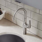 BLANCO Rivana Pull-Down Bar Faucet