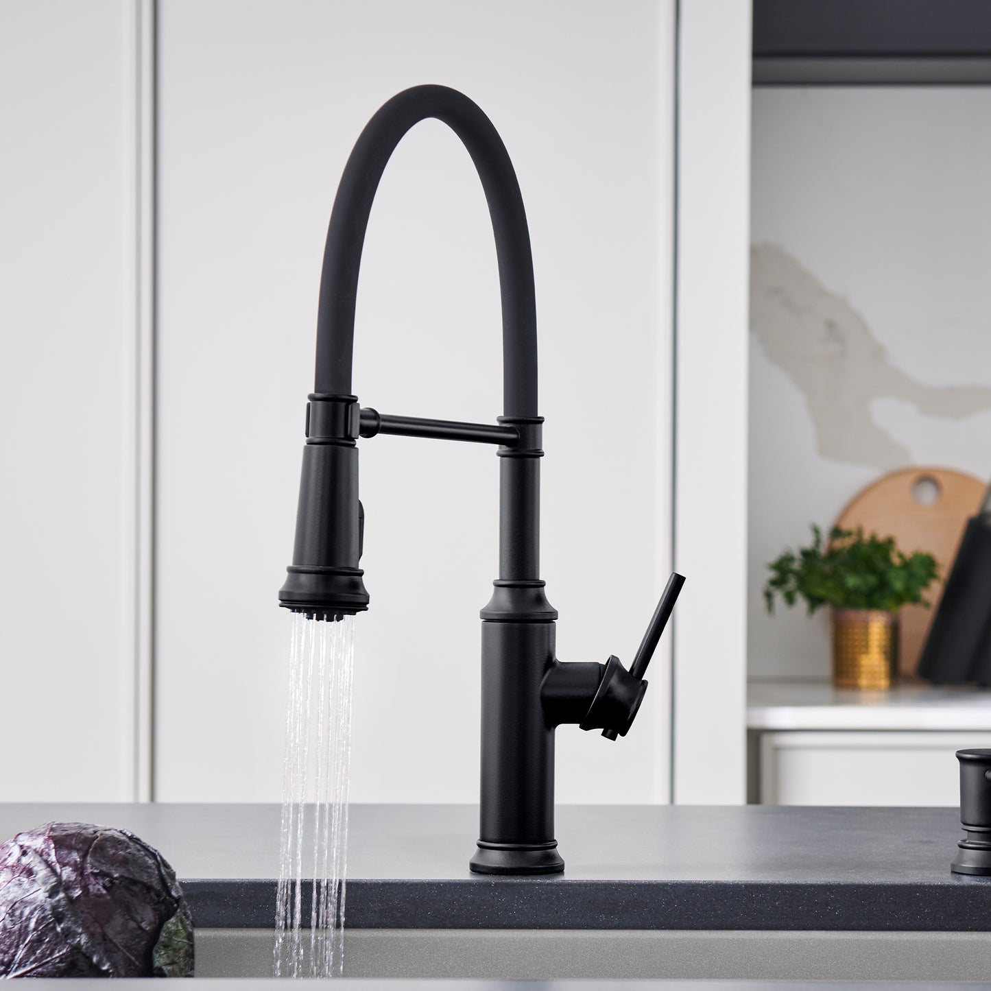 BLANCO Empressa Semi-Pro Pull-Down Dual-Spray Kitchen Faucet