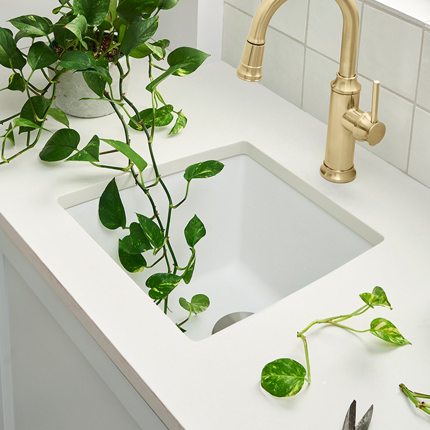 BLANCO Performa SILGRANIT 17" Undermount Bar Sink surrounded by greenery and a stylish faucet.