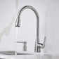 BLANCO Atura Pull-Down Dual-Spray Kitchen Faucet