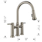 BLANCO Empressa Pull-Down Dual-Spray Bridge Faucet
