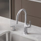 BLANCO Rivana High-Arc Pull-Down Dual-Spray Kitchen Faucet