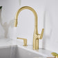 BLANCO Rivana High-Arc Pull-Down Dual-Spray Kitchen Faucet