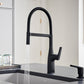 BLANCO Rivana Semi-Pro Pull-Down Dual-Spray Kitchen Faucet