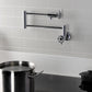 Kingston Brass KS4103CG Fuller Wall Mount Pot Filler Faucet, Antique Brass on a modern kitchen wall.