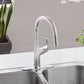 BLANCO Rivana High-Arc Pull-Down Dual-Spray Kitchen Faucet