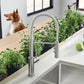 BLANCO Catris Semi-Pro Pull-Down Dual-Spray Kitchen Faucet with spring-coil design and modern kitchen greenery.