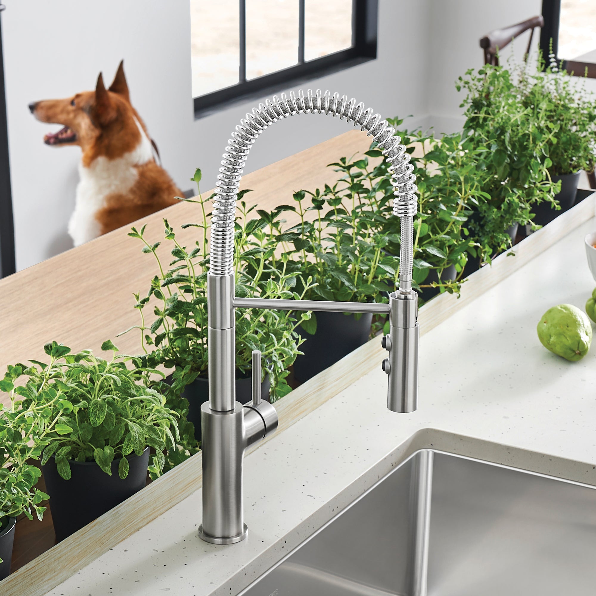 BLANCO Catris Semi-Pro Pull-Down Dual-Spray Kitchen Faucet with spring-coil design and modern kitchen greenery.