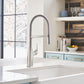 BLANCO Rivana Semi-Pro Pull-Down Dual-Spray Kitchen Faucet