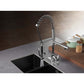 Gourmetier LS8503CTL Continental Single-Handle Deck-Mount Pre-Rinse Kitchen Faucet with Pot Filler, Brushed Brass