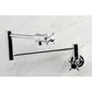 Kingston Brass KS4103DX Concord Wall Mount Pot Filler Faucet, Antique Brass in stylish chrome finish