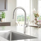 BLANCO Rivana High-Arc Pull-Down Dual-Spray Kitchen Faucet