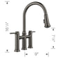 BLANCO Empressa Pull-Down Dual-Spray Bridge Faucet