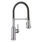 BLANCO Empressa Semi-Pro Pull-Down Dual-Spray Kitchen Faucet