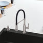 BLANCO Empressa Semi-Pro Pull-Down Dual-Spray Kitchen Faucet