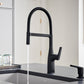 BLANCO Rivana Semi-Pro Pull-Down Dual-Spray Kitchen Faucet