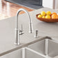 BLANCO Empressa High Arc Pull-Down Dual-Spray Kitchen Faucet