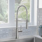 BLANCO Catris Semi-Pro Pull-Down Dual-Spray Kitchen Faucet with spring-coil design and solid brass body.