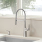 BLANCO Rivana Semi-Pro Pull-Down Dual-Spray Kitchen Faucet
