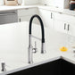 BLANCO Empressa Semi-Pro Pull-Down Dual-Spray Kitchen Faucet