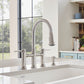 BLANCO Empressa Pull-Down Dual-Spray Bridge Faucet