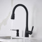 BLANCO Atura Pull-Down Dual-Spray Kitchen Faucet