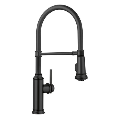 BLANCO Empressa Semi-Pro Pull-Down Dual-Spray Kitchen Faucet