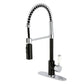 Gourmetier LS8778DPL Paris Single-Handle Deck-Mount Pre-Rinse Kitchen Faucet, Brushed Nickel