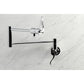 Kingston Brass KS4103DFL NuWave Wall Mount Pot Filler Faucet, Antique Brass in a modern kitchen setting.