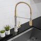 ZLINE Sierra Kitchen Faucet